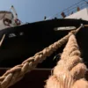 Sustainable Seas: Understanding and Mitigating the Environmental Impact of Marine Mooring in the UAE